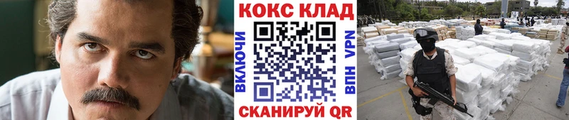 COCAIN Fish Scale  как найти закладки  Сердобск 
