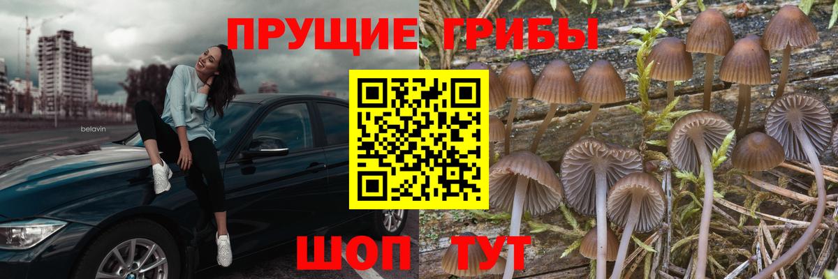 Сердобск  Псилоцибиновые грибы ЛСД  купить наркотик  Вход с VPN 