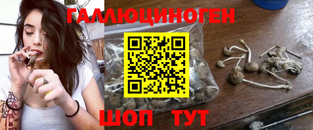 Псилоцибиновые грибы мухоморы Сердобск